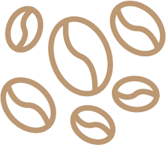 Selección